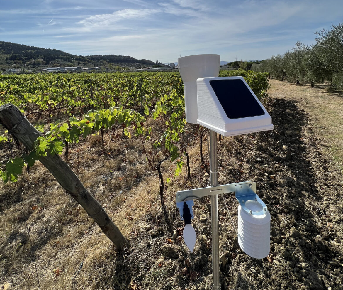 Netsense presenta SmartSense, l’aiuto tecnologico semplice ed economico per l’agricoltura e la viticoltura